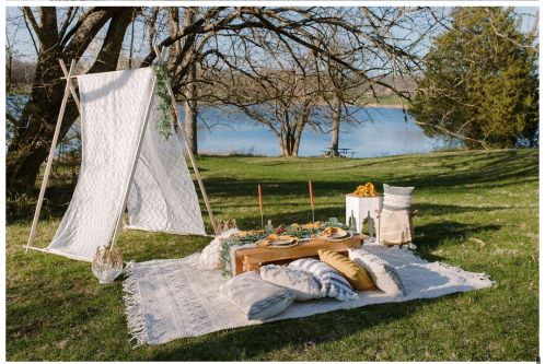 How to Start a Luxury Picnic Business