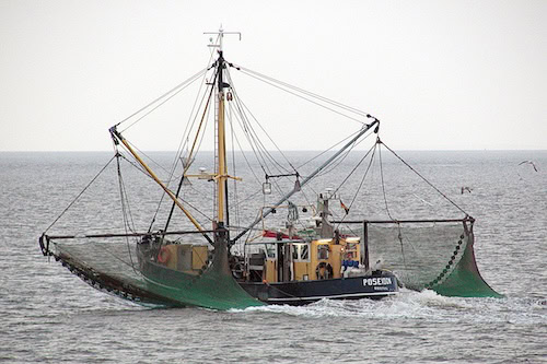 Greetsiel 33 Poseidon 01